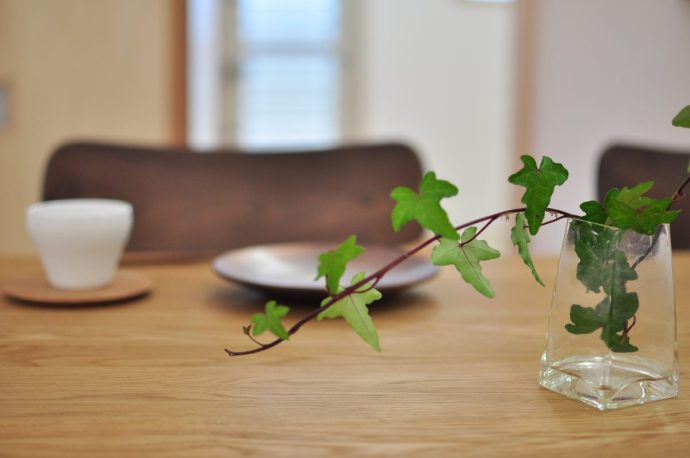 新築施工事例：霧島市　平屋